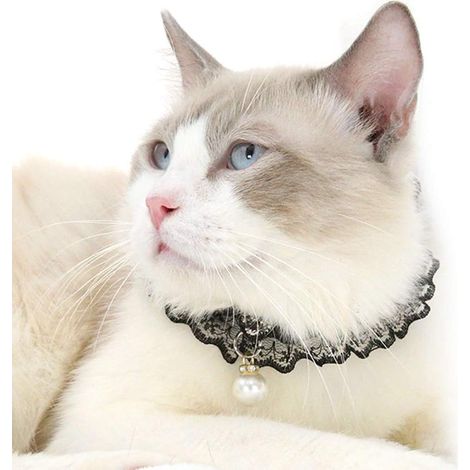 Collier de perle de dentelle de chat pour animaux de compagnie, collier pendentif de perle de chiot de chaton réglable pour la Fête de mariage (noir) (1/5)