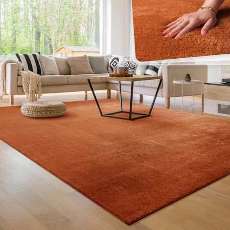 Tapis Salon Moelleux Ultra Doux à Poils Courts - Antidérapant, Lavable, Confort Idéal pour Salon et Chambre, Dimension:140x200 cm, Couleur:Cuivre (1/5)