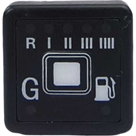Accessoires de gaz naturel pour véhicule GNC Prise de commutation NT601 Interrupteur visuel Prise de commutation WS30 (1/4)