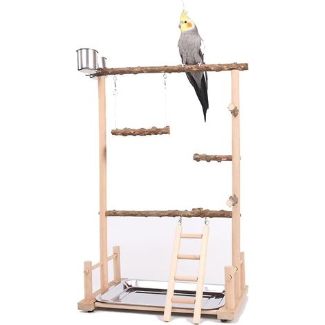 1 Aire de jeux pour oiseaux, Perchoir en bois, Jouet avec échelle et balançoire, Pour perruches et perroquets