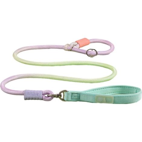 Laisse coulissante pour chien, 1,5 m, corde robuste, anti-traction, idéale pour l'éducation canine, convient aux chiens de grande et moyenne taille, vert. (1/5)