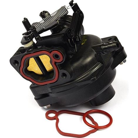 für Gartenvergaser, kompatibel mit Briggs & Stratton 799584 798675 592361 799579. (1/4)