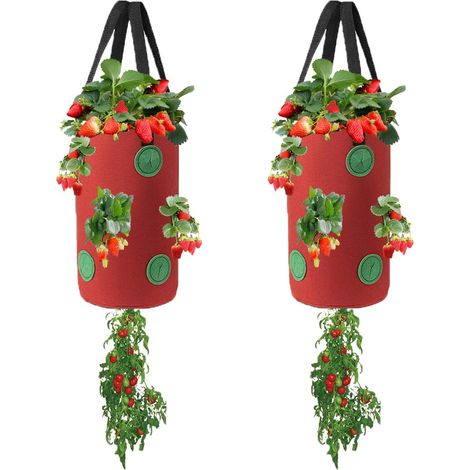 Confezione da 2 vasi capovolti, sacchi per la coltivazione sospesa di fragole e pomodori, sacchi per la semina di patate e ortaggi con fori (1/5)