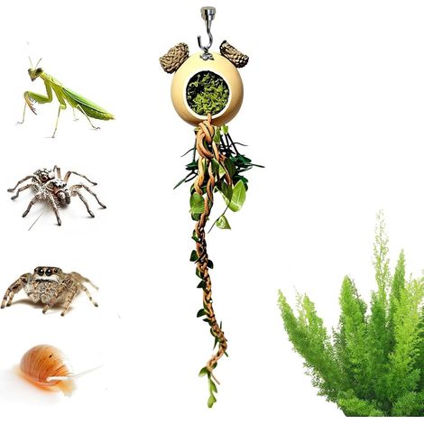 Décor Araignée Sauteuse Lianes pour Cage Reptile Escalade Cage Araignées Sauteuses Pour Serpents Pythons Royaux Caméléons Mantes Geckos Tortues Grenouilles (1/5)