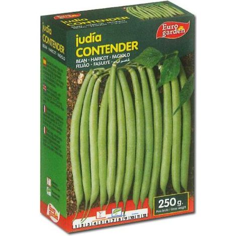 semillas fito leguminosas judia contender mata baja 250 gr 04517
