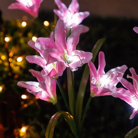 Luminaire Solaire De Jardin - Hydrangée Décorative - 80 Cm - Panneau Solaire Amélioré - Batterie 600 Mah - Étanche - Pour Clôture Jardin Pelouse Parterre (1/5)