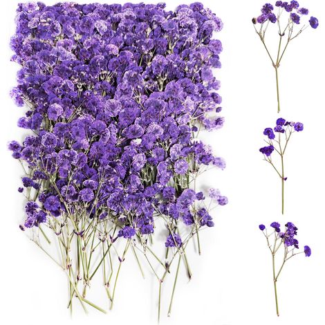 100 Pcs Gypsophile Séché Pourpre Fleurs Séchées Bouquet Fleurs Séchées Decoration Fleurs Sechees Naturelles pour DIY Bougie Résine (1/5)