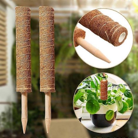 Lot de 12 tuteurs en fibre de coco pour plantes grimpantes et lianes de palmier (1/5)