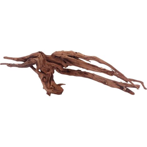 XL Driftwood Flußwurzel Nr.4930 Holz Deko Aquascaping