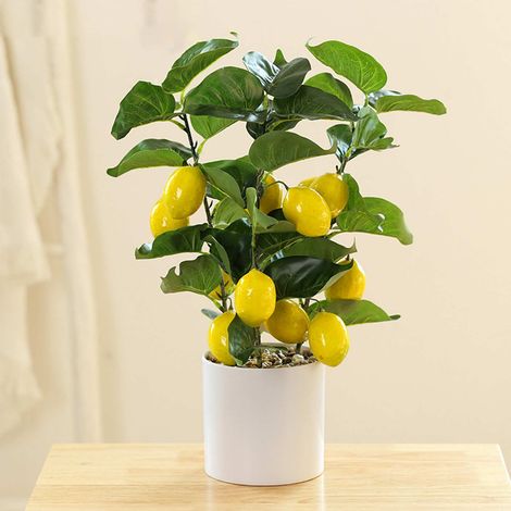 Petit citronnier artificiel en pot blanc, idéal pour la décoration intérieure. Parfait pour la cuisine ou la maison. (1/5)