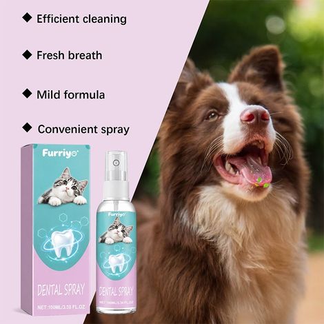 Spray dentaire pour animaux de compagnie très populaire – élimine les taches, rafraîchit l'haleine et prend soin des animaux. (1/4)
