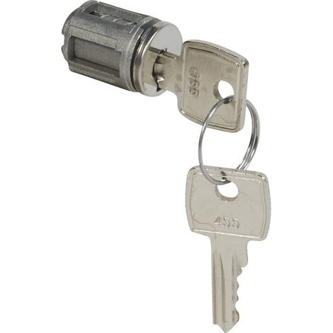 Barillet à clé type455 pour porte métal ou vitrée XL³800, XL³400 et XL³160Avec 1 jeu de 2 clés LEGRAND 020292 (1/2)
