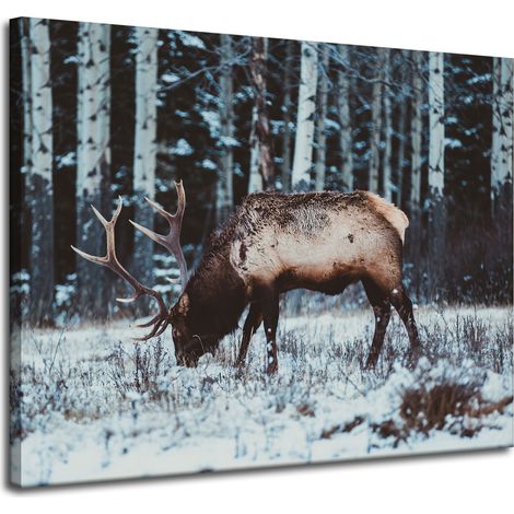 Stampa su tela "Animali: cervo canadese" 100x80