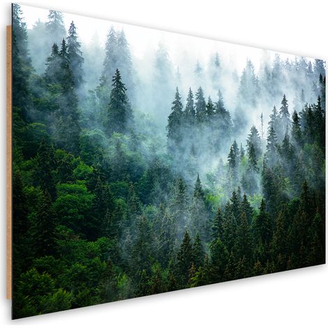Quadro deco panel, Foresta nella nebbia - 100x70 (1/5)