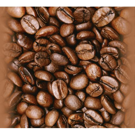 Papier peint cuisine & salon grain de café | Papier peint bande décorative marron | Tapisserie cuisine motif grain de café - 2,50 x 0,35 m (1/2)