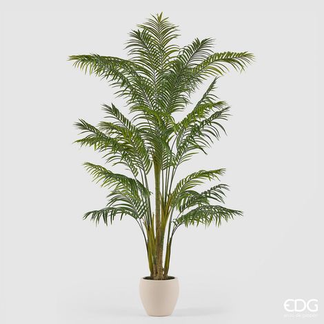 EDG Enzo De Gasperi Pianta Artificiale Palma Areca Vogue con Vaso H240 cm – Pianta Decorativa Realistica Design Moderno