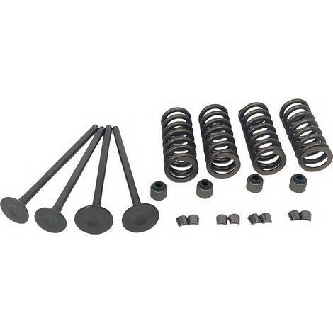 Joints de queue de soupape de moteur de moto compatibles avec les ressorts YAMAHA YFZ R15 TMAX155 VIVINO155 (1/4)