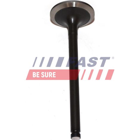 FT50013 Schnell-Einlassventil für Motoren