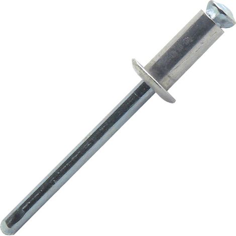 250 rivets aveugles éclatés alu/acier TP, D. 4.8 x 25 mm - PAD4825 - Scell-it