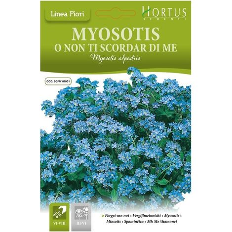 Myosotis Alpestris o Non ti scordar di me DB