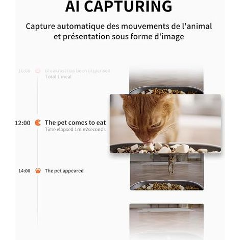Automatic Cat Food Dispenser with Camera Night Vision Wi-Fi Dual Hopper Bowl (1/4)