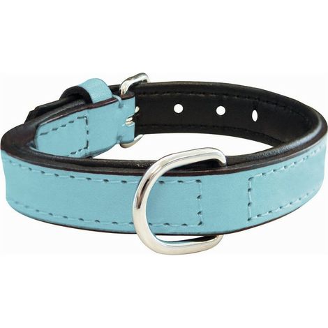Collare per Cani Gloria Trapunta Azzurro (40 x 2 cm) (1/5)