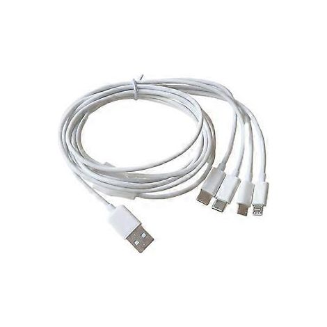 4-in-1-Multiladekabel, USB-Ladekabel für Typ-C- und Micro-USB-Geräte, lädt 4 Geräte gleichzeitig (2 Typ C + 2 Micro), Weiß (Weiß)