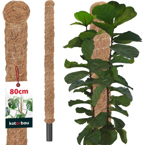 KOTARBAU® Tuteur Plante - Tuteur Coco - ⌀ 3.2 x 80 cm - Fibre de Coco - Tuteurs pour Monstera - Marron - pour Plantes Grimpantes (1/5)