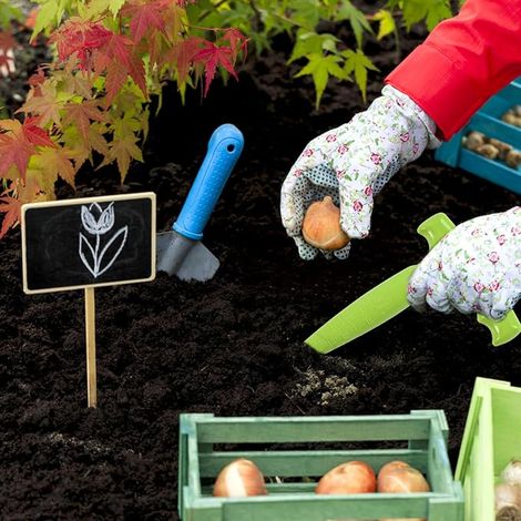 Plantoir de jardin, plantoir pour bulbes, plantoirs de jardin, accessoires pour la culture des succulentes et des plantes de jardin (1/3)