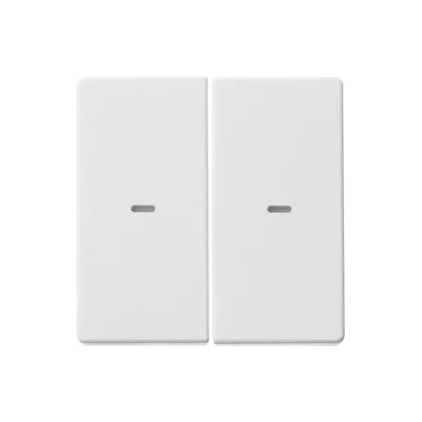 Berker Tast-Abdeckung 2f. pws 80960329 (1/2)