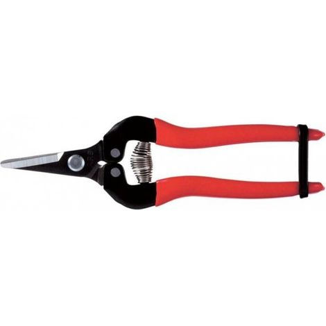 Forbici per raccolta Ars 300SS