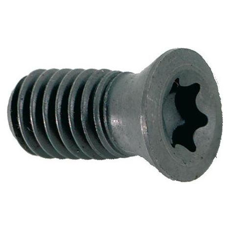 Vis Torx pour D. 10mm