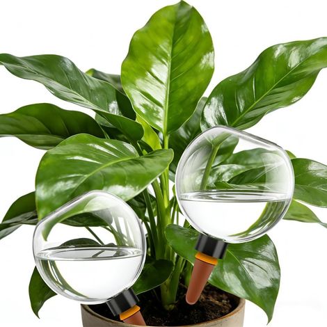 Lot de 4 boules d'arrosage - 500 ml - Arrosage automatique des plantes - Boules d'eau pour plantes, fleurs et jardin - Idéal en vacances - En polypropylène - Cône d'argile respirant (1/5)