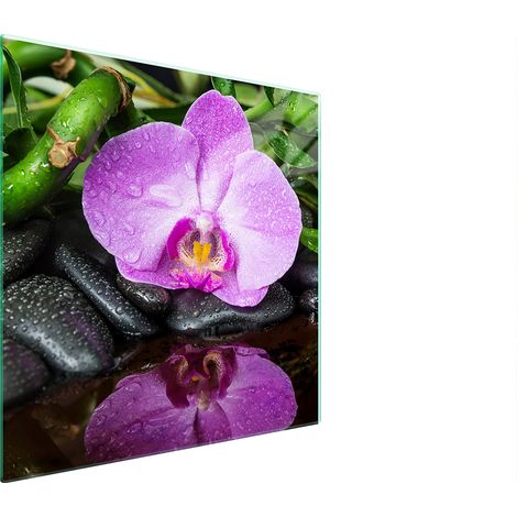 GLASSCHUTZPLATTE FÜR HERD 50x52 ORCHIDEE