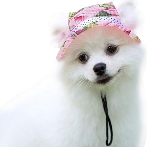 Chapeaux de Respirants pour Chiens - Chapeaux de en pour Chien et Chat, Chapeau de visière pour Chien à Bord Rond pour Cadeaux,Casquette de Poreuse en avec Trous d'oreille et mentonnière (1/5)