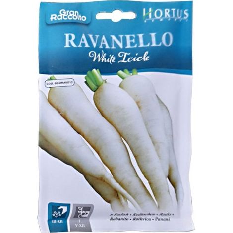 Ravanello White Icicle - schnellwüchsige, weiße Sorte für frische Salate