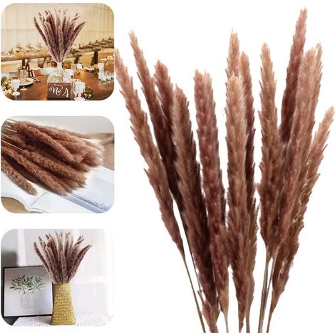 Hierba de la Pampa, hierba de la Pampa seca natural, ramo de flores secas de Phragmites. Decoración del hogar, sala de estar, diseño de interiores, fotografía, hotel, boda, 60 cm.