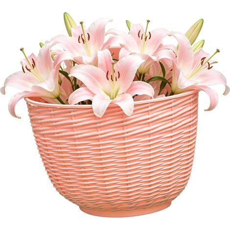 Jardinière de balcon Pot fleurs suspendu avec trou drainage et crochets, d'extérieur pour jardin (1/5)