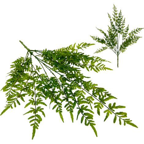 Helecho de caucho verde - ramo de hojas de helecho 73 cm (1/5)