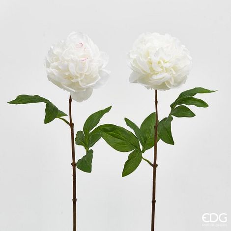 EDG Enzo De Gasperi Peonia Olis Ramo H 65 Cm 1 Pz Bianco