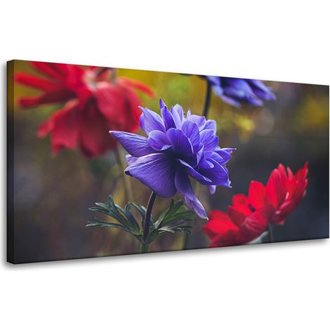 Leinwanddruck Botanik Blumen 80x40 cm