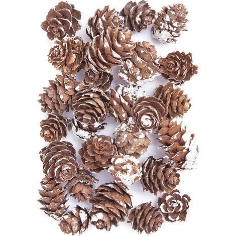 Mini conos decolorados 25 g (1/2)