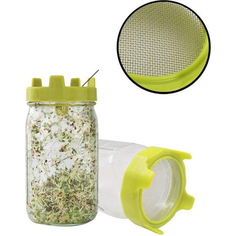 Kit per la germinazione di semi germogliati – scatola ventilata, stabile e conforme agli standard alimentari, confezione da 1