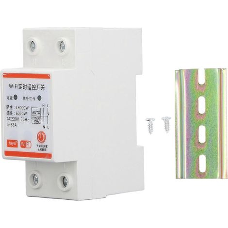 Minuteur Wi-Fi pour télécommande TUYA 2P, interrupteur minuteur, disjoncteur pour appareils électroménagers, pompes et éclairage public