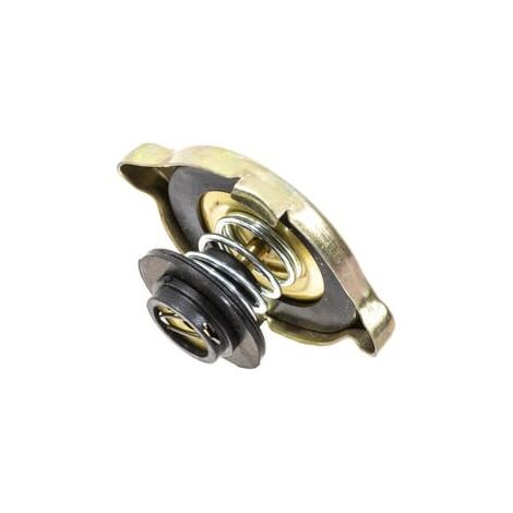 Bouchon de radiateur UNIVERSEL 81747955N