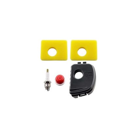 Tapa del filtro de aire con filtro de aire para Briggs & Stratton series 300e, 450e y 550e (números de pieza: 595660, 594281, 799579, 5434, 4248, 09P702) (1/4)