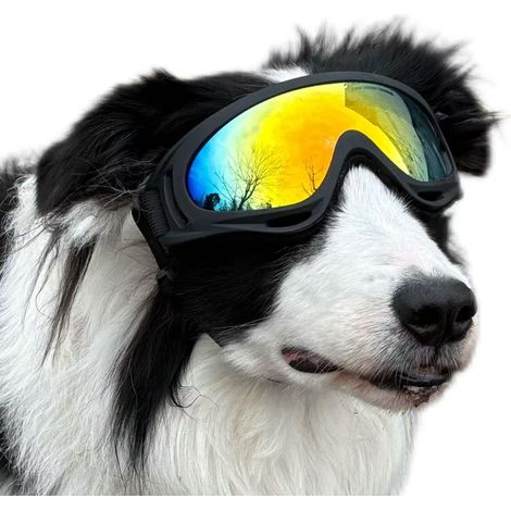 Fünf Paar winddichte und UV-schützende Hundebrillen mit doppelten stoßfesten Riemen, geeignet für Border Collies, Golden Retriever, Corgis und andere Hunderassen zum Reiten im Freien. (1/5)
