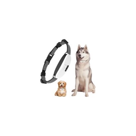 Antibellhalsband für große, kleine und mittelgroße Hunde, wiederaufladbar, 8 Empfindlichkeitsstufen, intelligentes und wasserdichtes Trainingshalsband, einstellbarer Piepton, Vibration und Stromstoß -