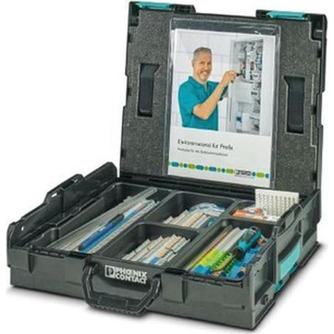 Phoenix Contact 1185519 Installationsklemme Grau 1 Set (1/5)