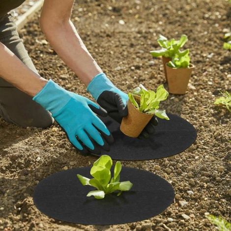Rondelle Paillage - Anneau Anti-Mauvaises Herbes Non Tissé - Protection Racines Arbres Jardin - Lot de 20 (1/5)